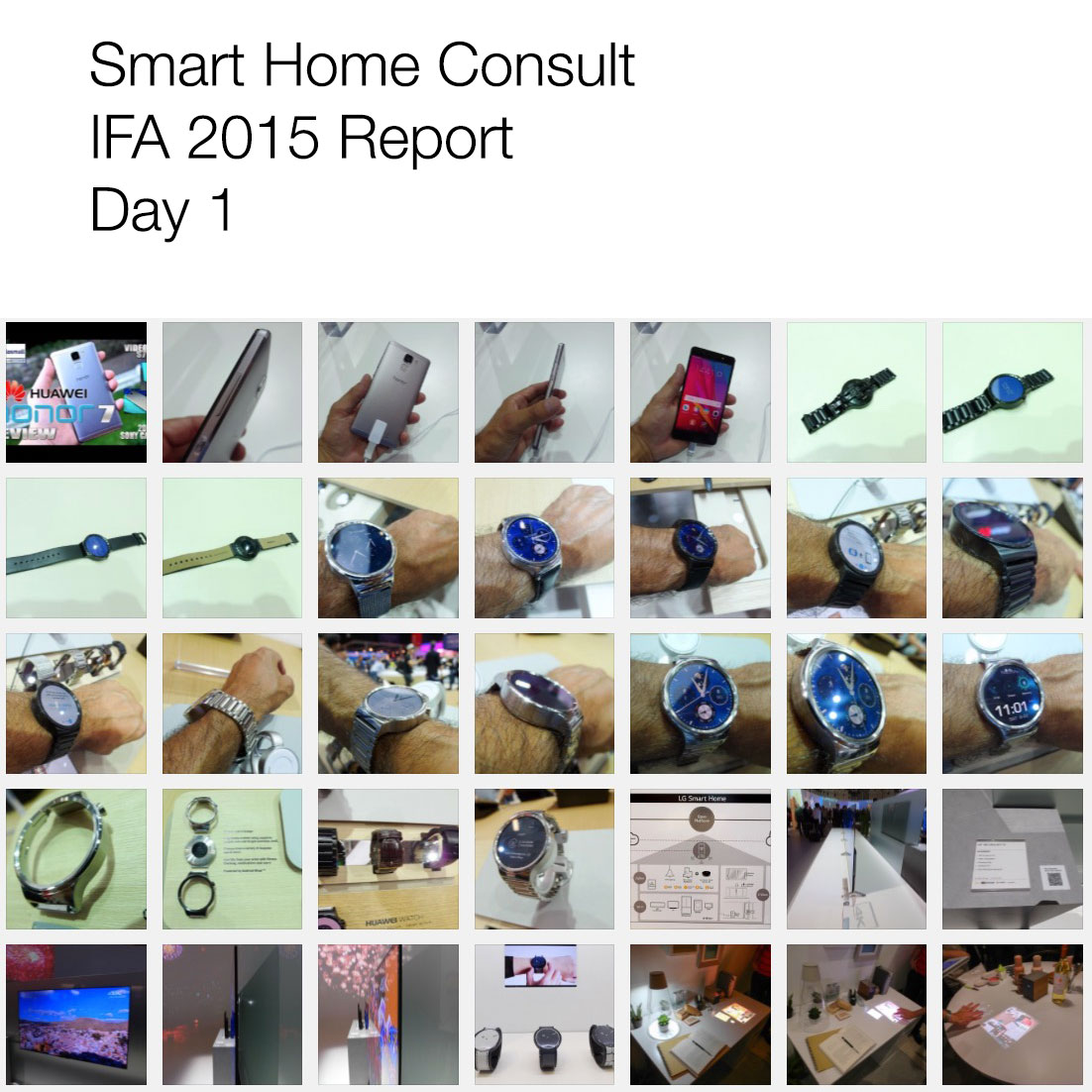 <h1>IFA 2015</h1> <h2>SmartHomeConsult Report</h2>